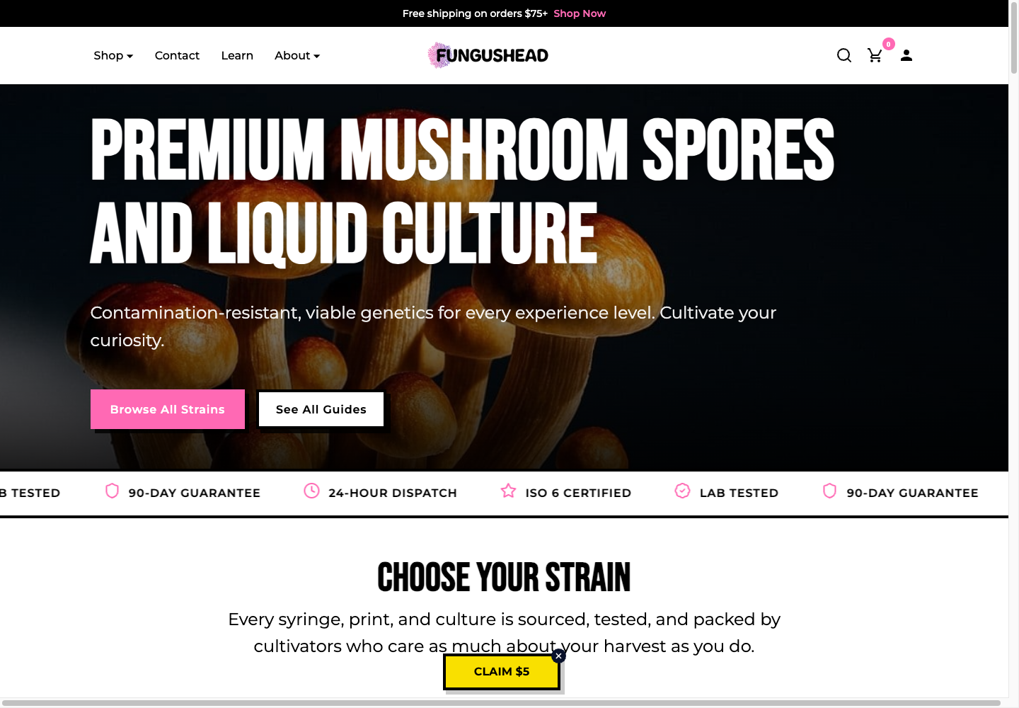 Fungushead ecommerce website screenshot